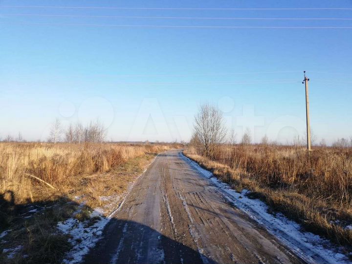 Д сынково. Деревня Сынково Камешковский район. Сынково Камешковский район. Пруд Сынково Камешковский район.