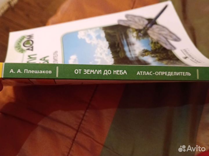 Развивающие книги