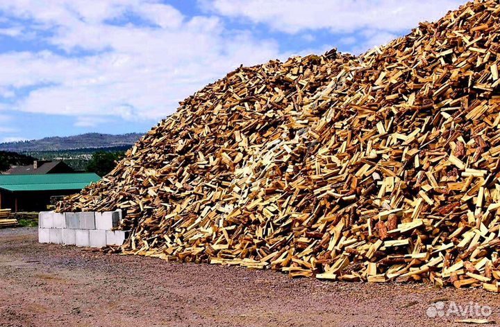 Дрова с Приморска