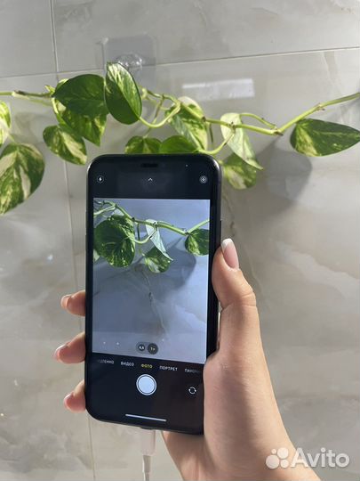 Apple iPhone 11 128 gb black