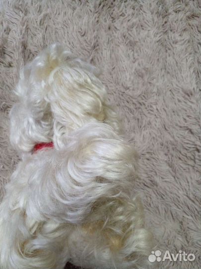 Игрушка собака СССР