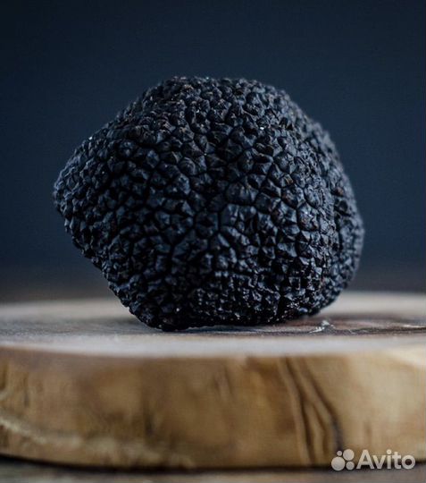 Трюфель белый гриб свежий