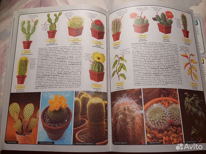 Книги о цветах