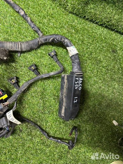 Проводка двс Chevrolet Aveo T250 B12S1 2008