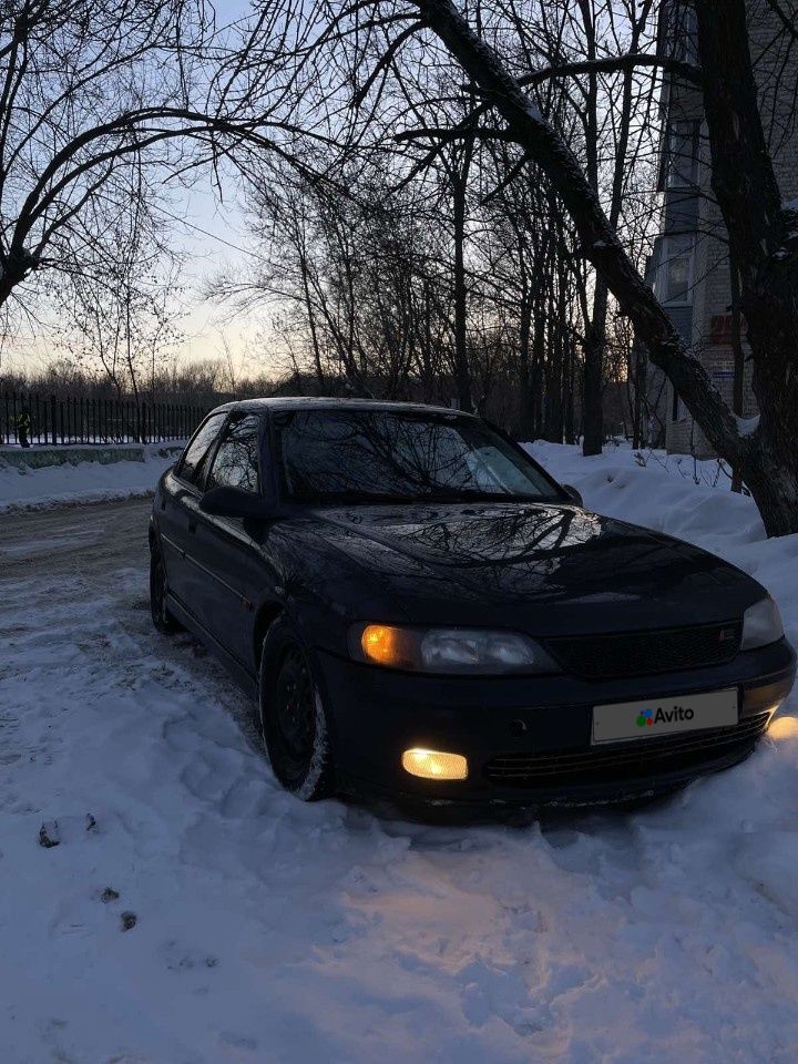 Opel Vectra: фото владельца