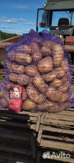 Продукты питания