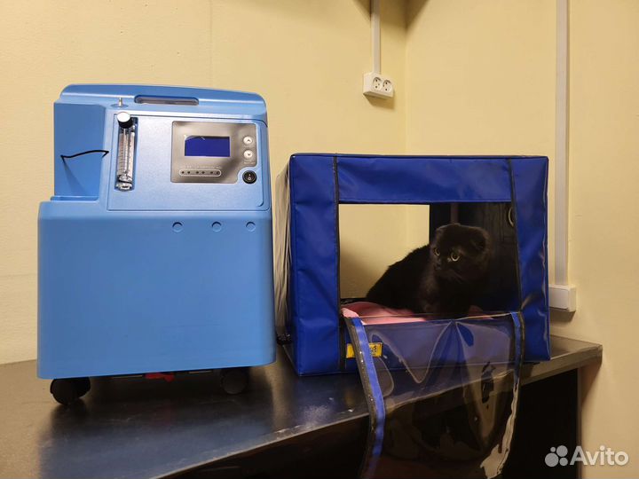 Комплект для кислородной терапии животному