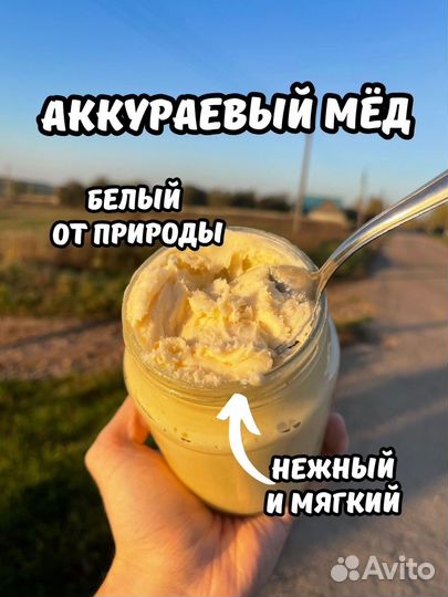 Отговорю покупать Аккураевый мед 2024г