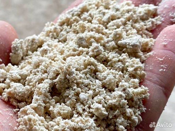 Ракушка кормовая