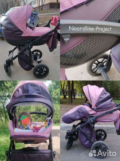 Коляска Noordline Stephania Eco 2 в 1