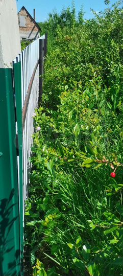 Дача 10 м² на участке 6 сот.