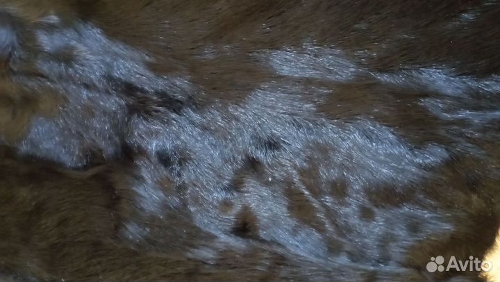 Куртка демисезонная женская