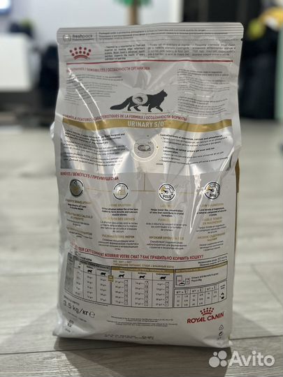 Корм для кошек royal canin urinary