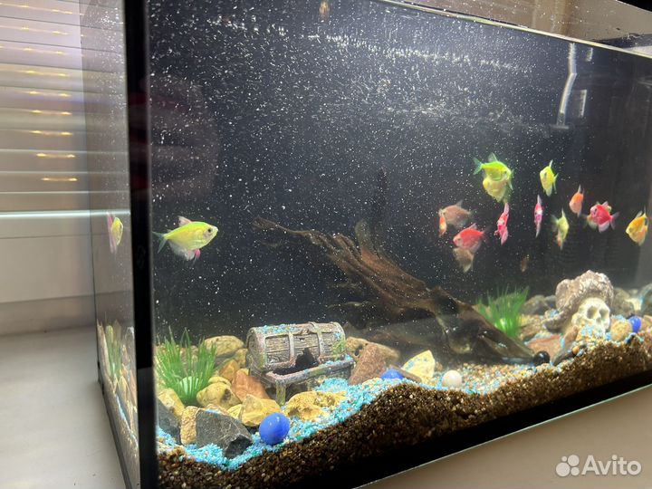Аквариум