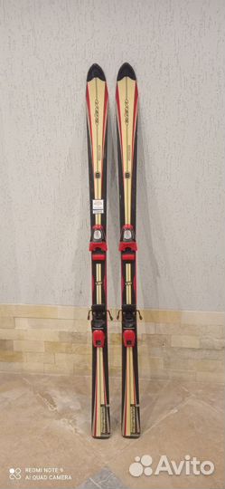 Горные лыжи