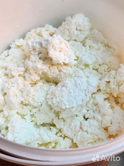 Молоко домашнее и творог собственного производства