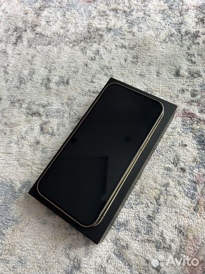 iPhone 12 Pro Max, 256 ГБ