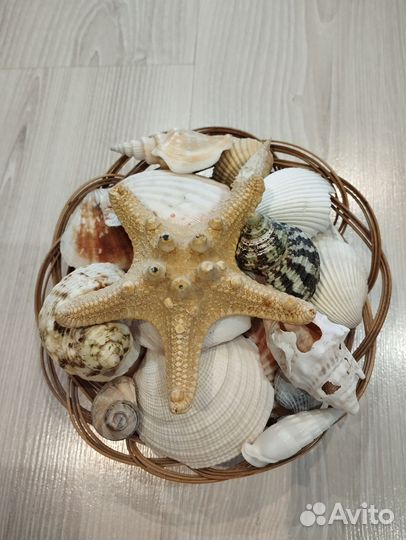 Ракушки в корзинке