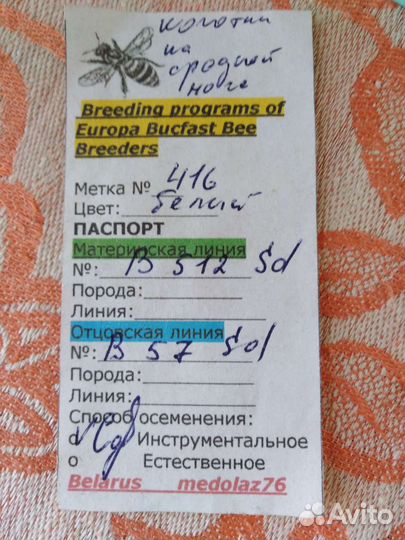 Пчёлы, матки, пакеты