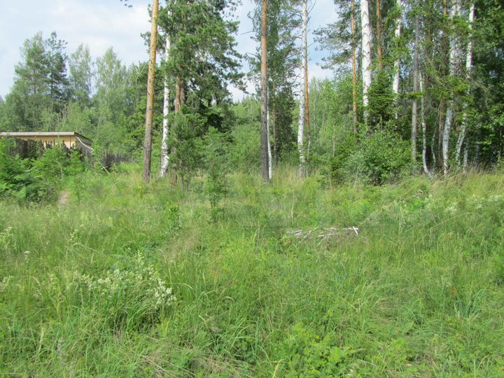 Участок 11 сот. (ИЖС)