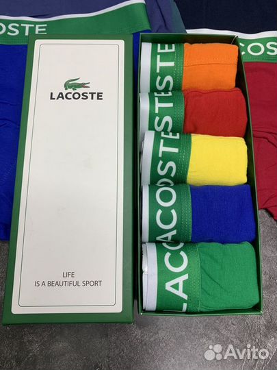 Трусы мужские lacoste 23 февраля