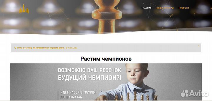 Разработка сайтов