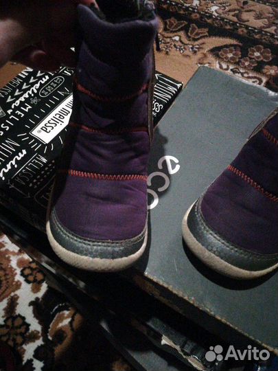 Ботинки ecco biom