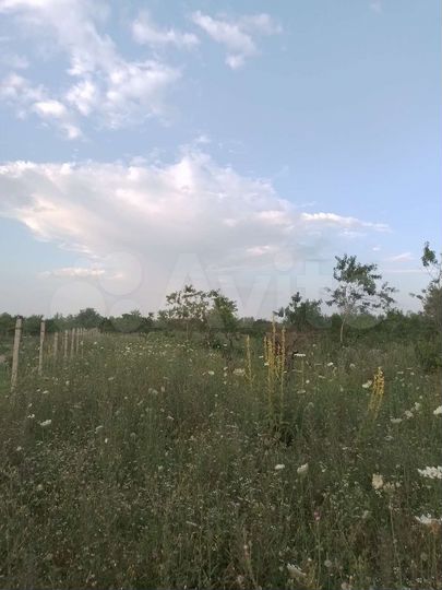 Участок 1,2 га (СНТ, ДНП)