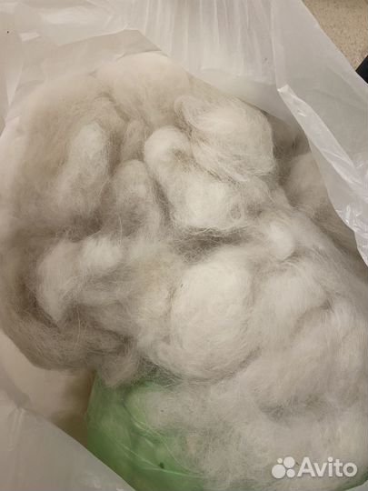 Шерсть самоеда