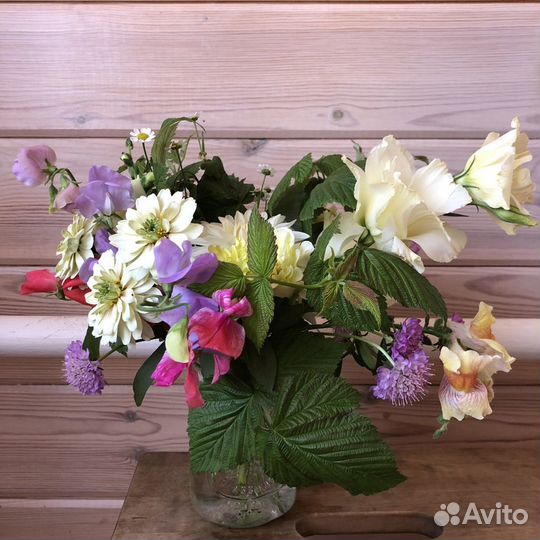 Рассада эустомы