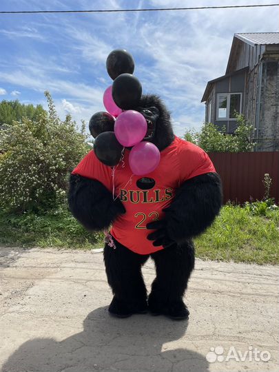 Белый медведь,зайчик,горилла,поздравления