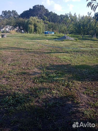 Покос травы, спил деревьев