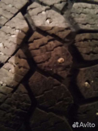 Nord Wolf Cargo 215/55 R17C