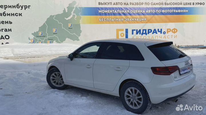 Петли двери передней левой Audi A3 (8V)