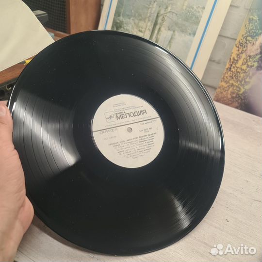 Прощай, мой табор - поет Любовь Деметер LP NM