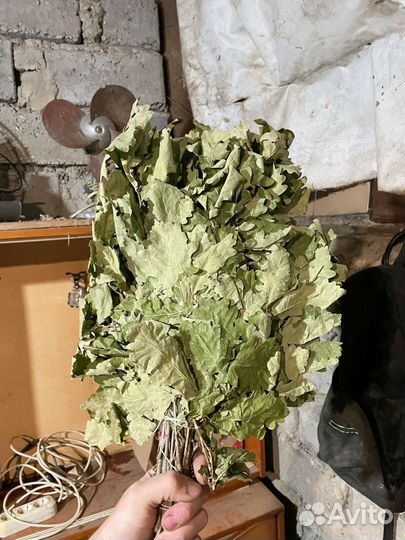 Веники дубовые