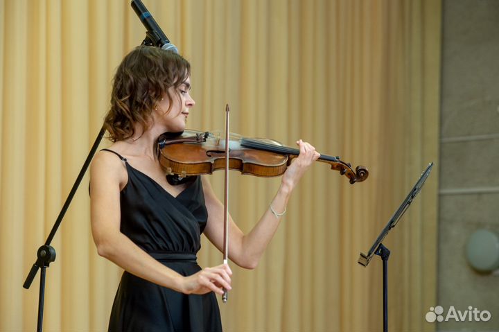 Скрипка на праздник