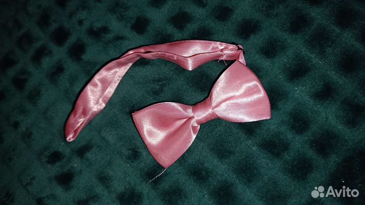 Боди для животных