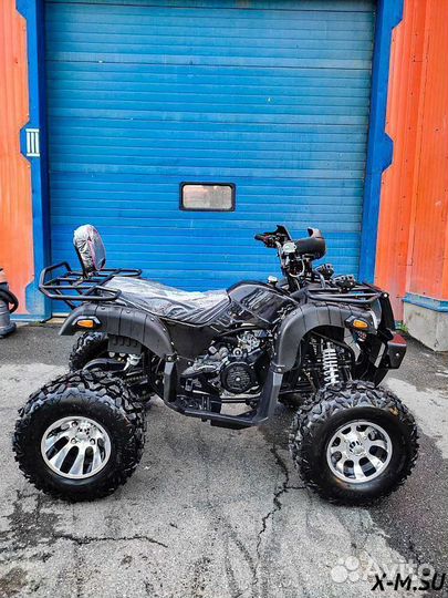 Grizzly 200