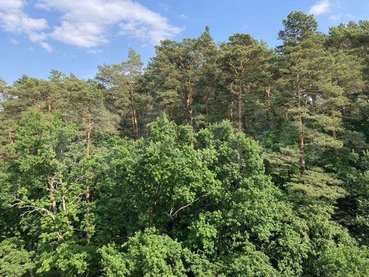 Квартира-студия, 28 м², 6/7 эт.