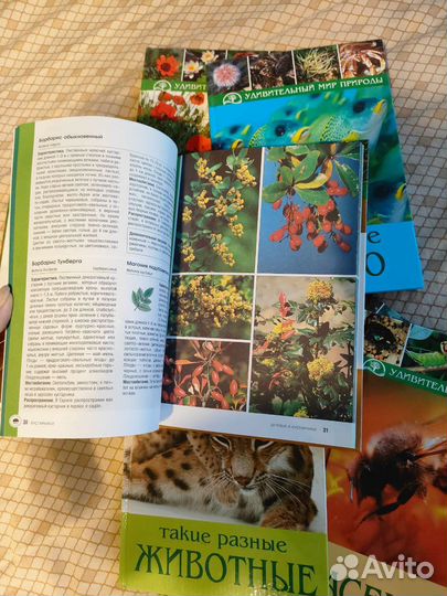 Книги о природе