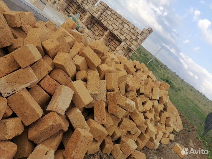 Камень ракушка