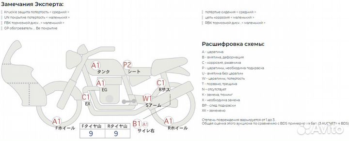 Harley-Davidson Pan America Special