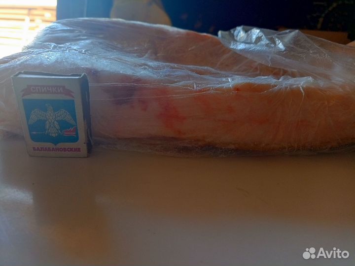 Сало свежее