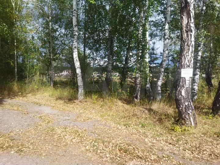 Участок 10 сот. (ИЖС)