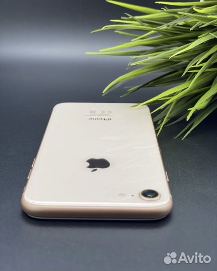 iPhone 8, 128 ГБ