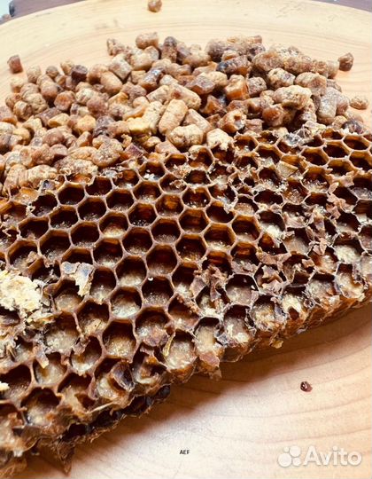 Перга 2024 год