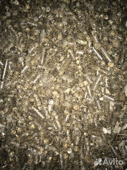 Высокопротеиновый шрот подсолнечника - 39 ГОСТ