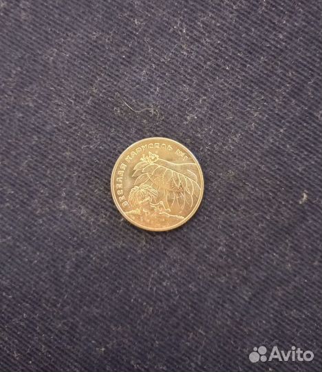 Монета Антошка