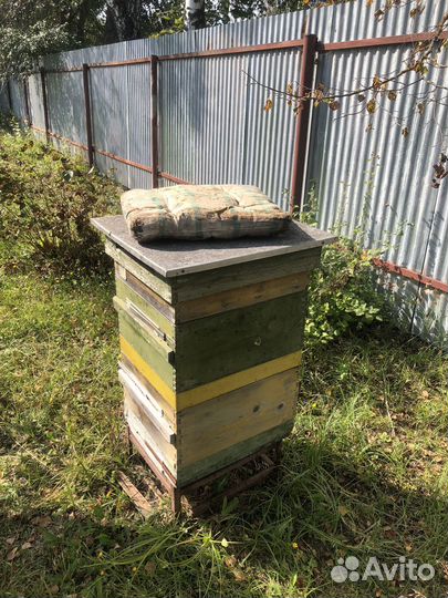 Улей для пчел